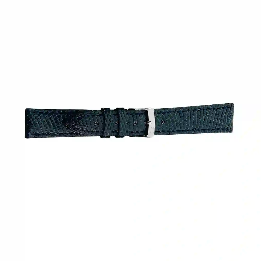 Watch strap/A01X2053372060CR20