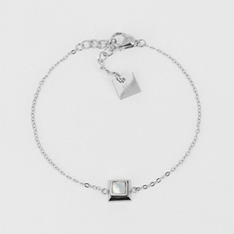 Zag Bijoux Stainless Steel Surgical Bracelet/ SBS16462-00SEL