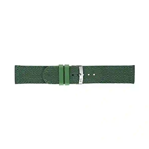 Watch strap/A01X4908C17074CR18