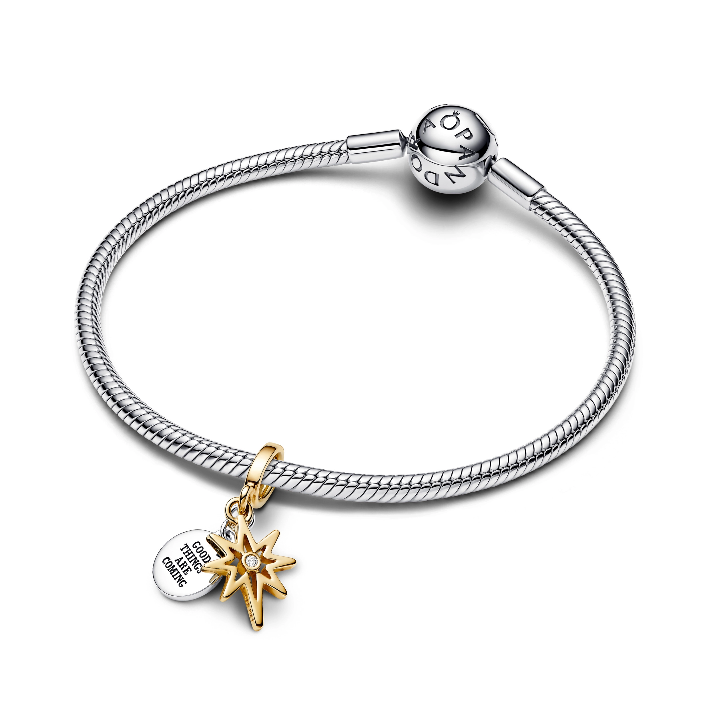 PANDORA Moments 14K Ոսկեպատ Արծաթյա Չարմ/ 763588C01