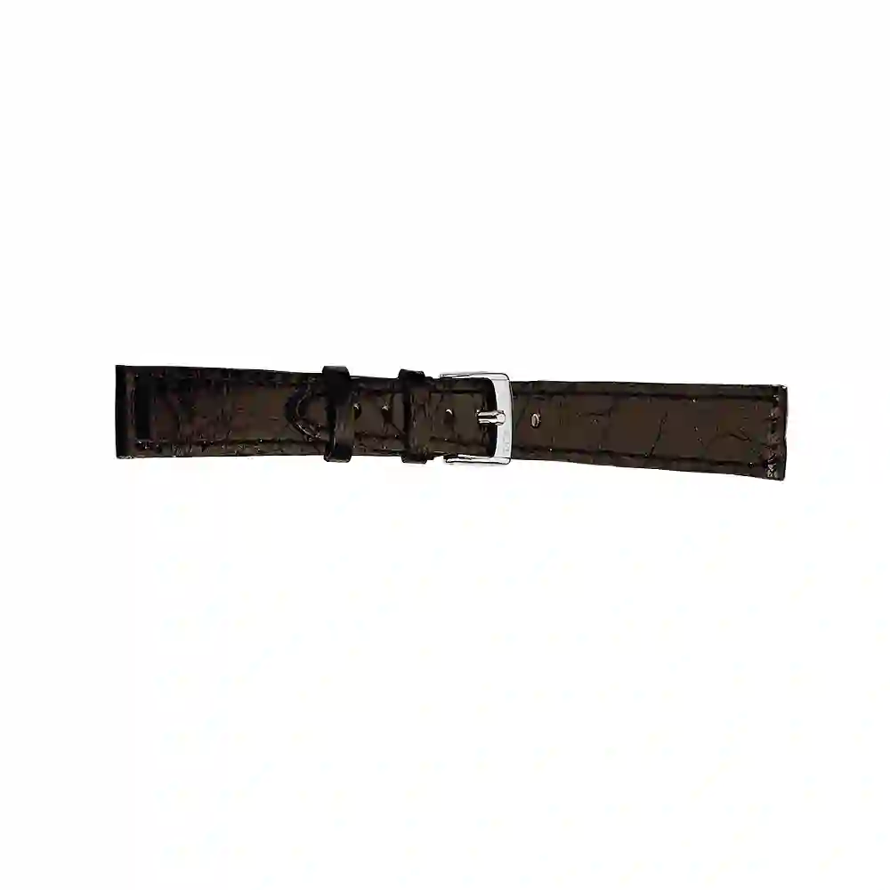 Watch strap/A01D2213052019DO12