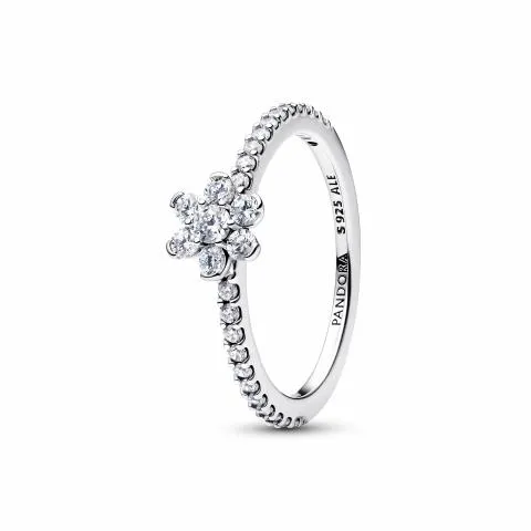 Pandora Timeless Silver Ring/ 194499C01-58