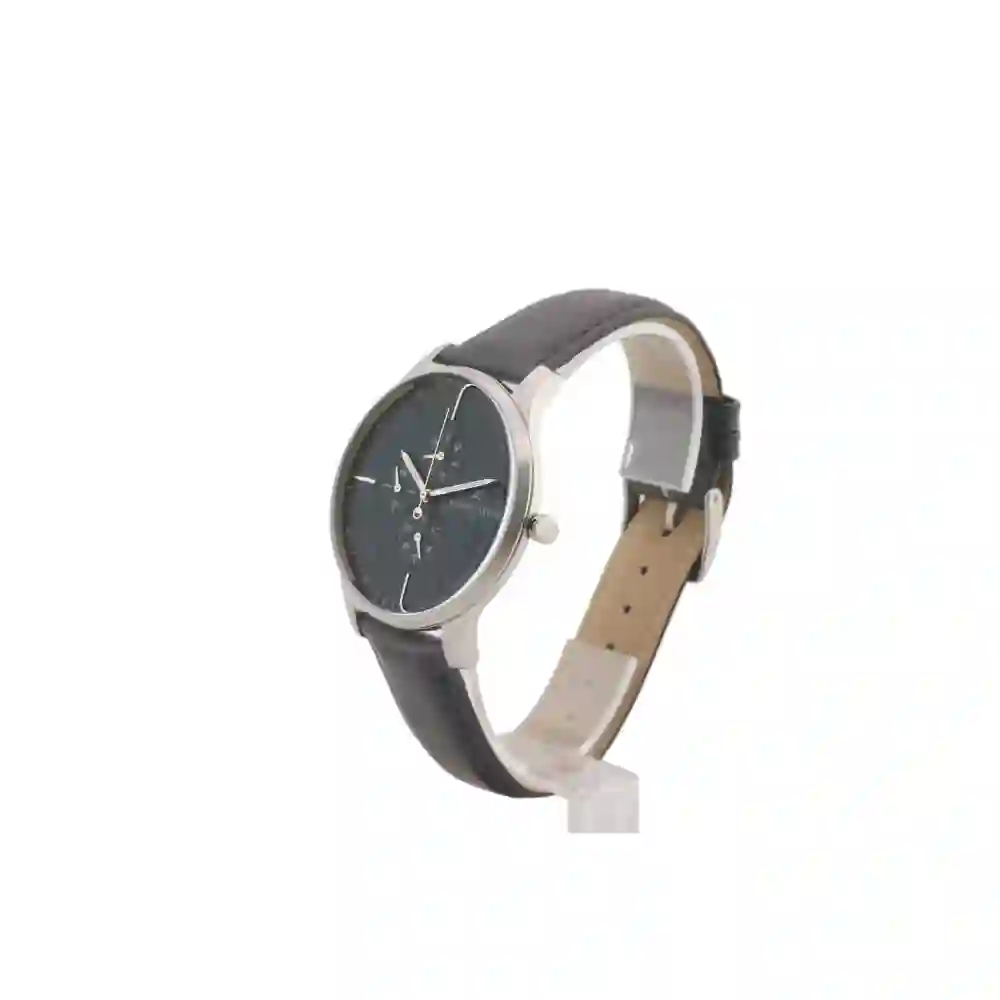 Buy Pierre Cardin - Men Wristwatch/PC902731F101 | Time.am