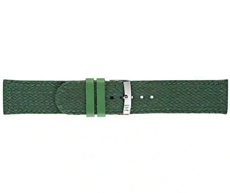 Watch strap/A01X4908C17074CR20
