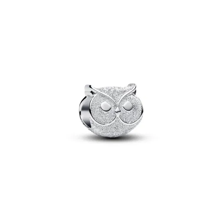 Pandora Moments Silver Charm/ 794525C00