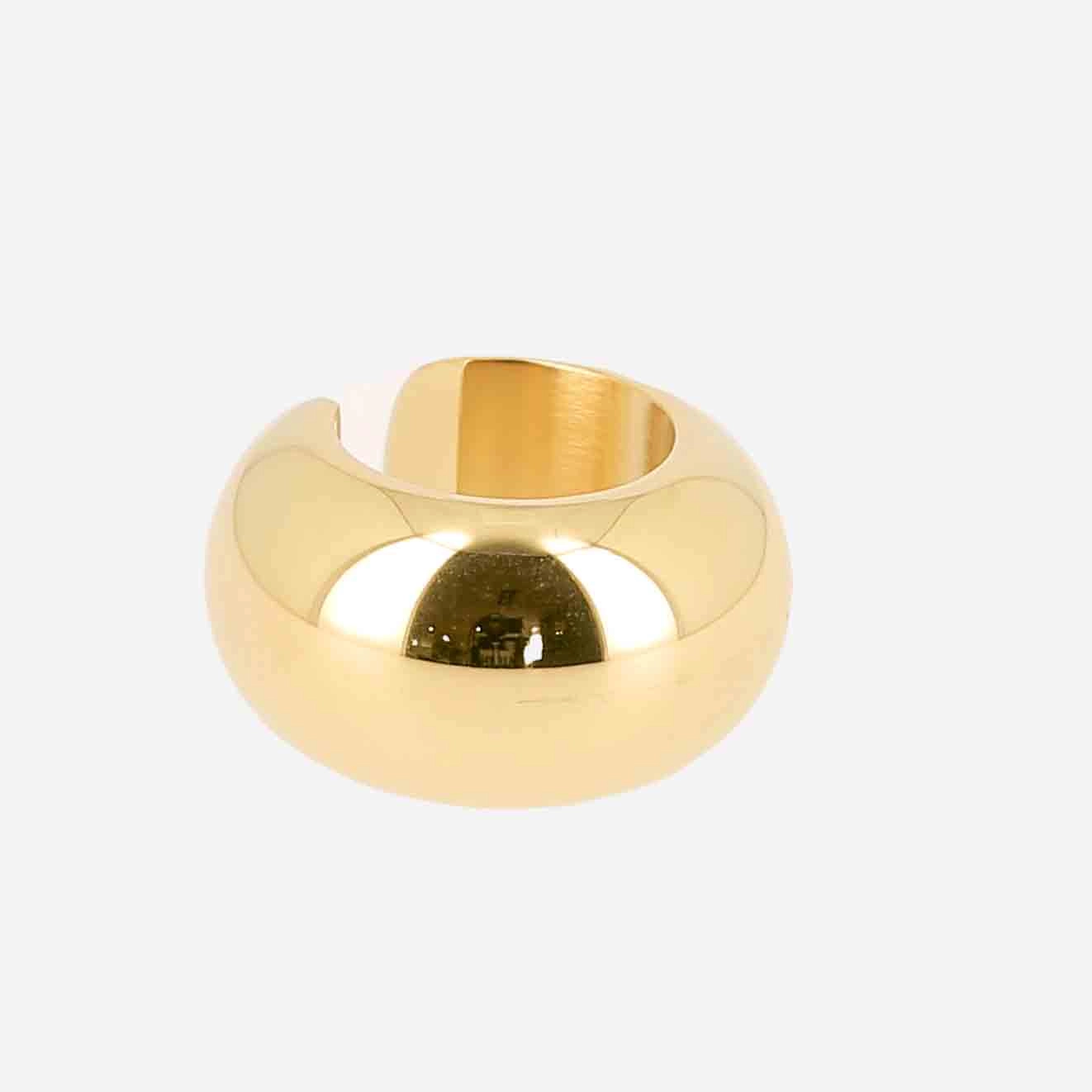 Zag Bijoux Ականջօղ/ SLK22096-01UNI