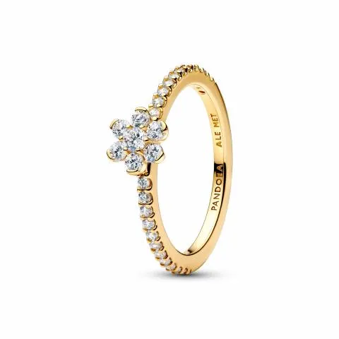 Pandora Timeless 14K Gold Plated Ring/ 164499C01-58