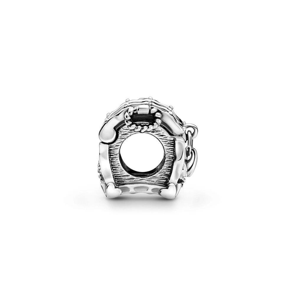 PANDORA Moments Արծաթյա Չարմ/ 799432C00