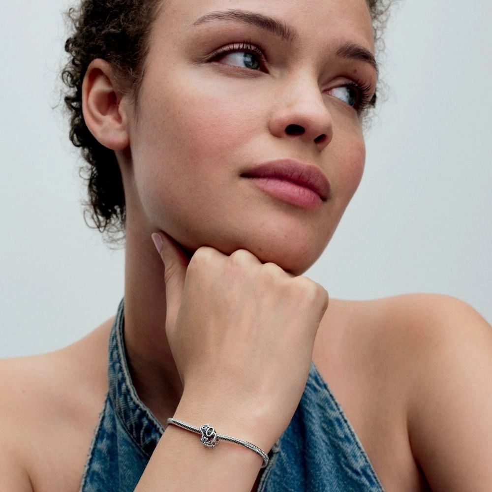 PANDORA Moments Серебряный Шарм/ 793345C01