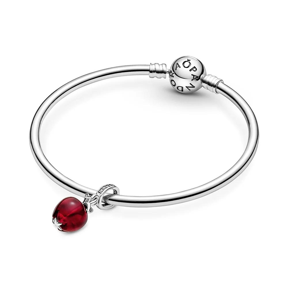 PANDORA Moments Արծաթյա Չարմ/ 799534C01