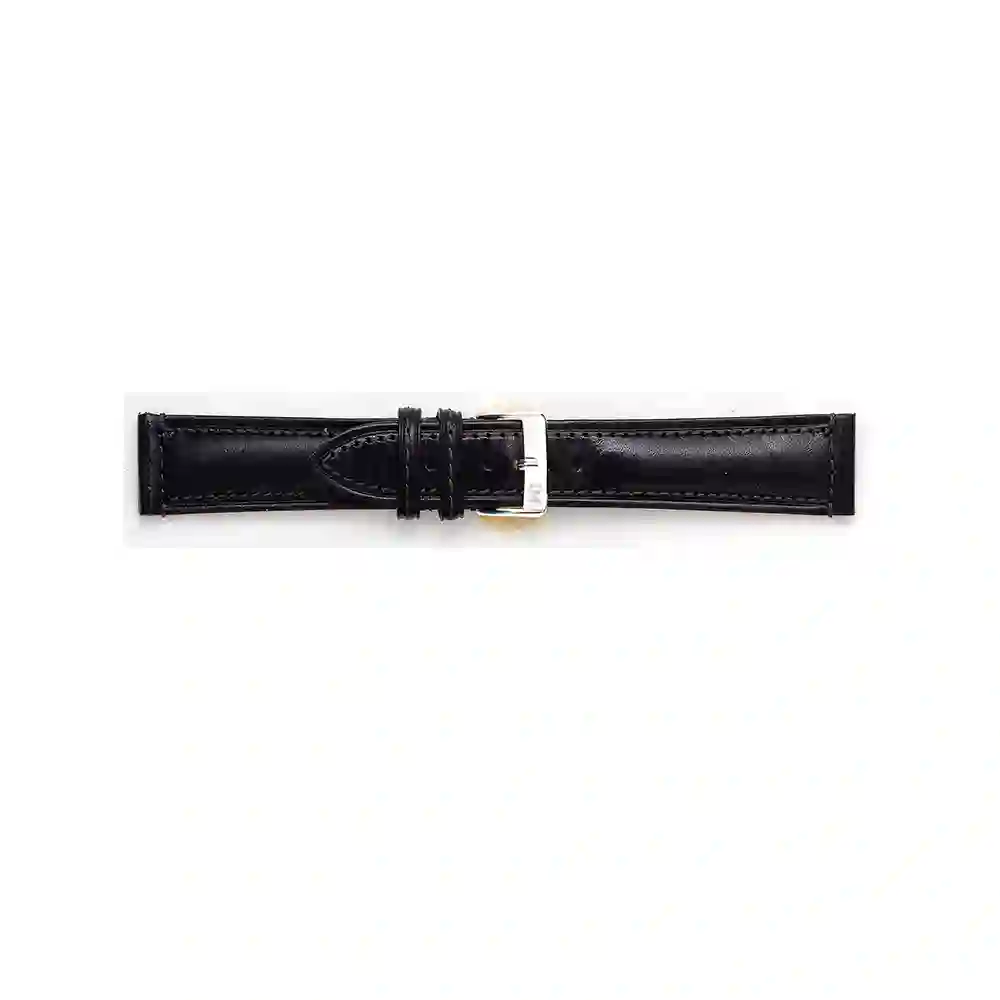 Watch strap/A01U0895403019CR18