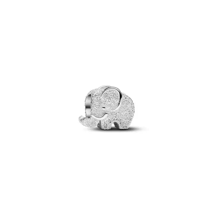 Pandora Moments Silver Charm/ 794528C00