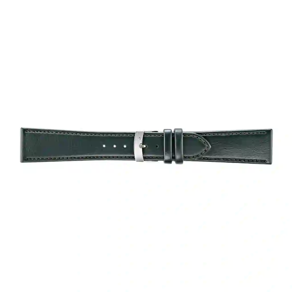 Watch strap/A01X5336D05071CR18