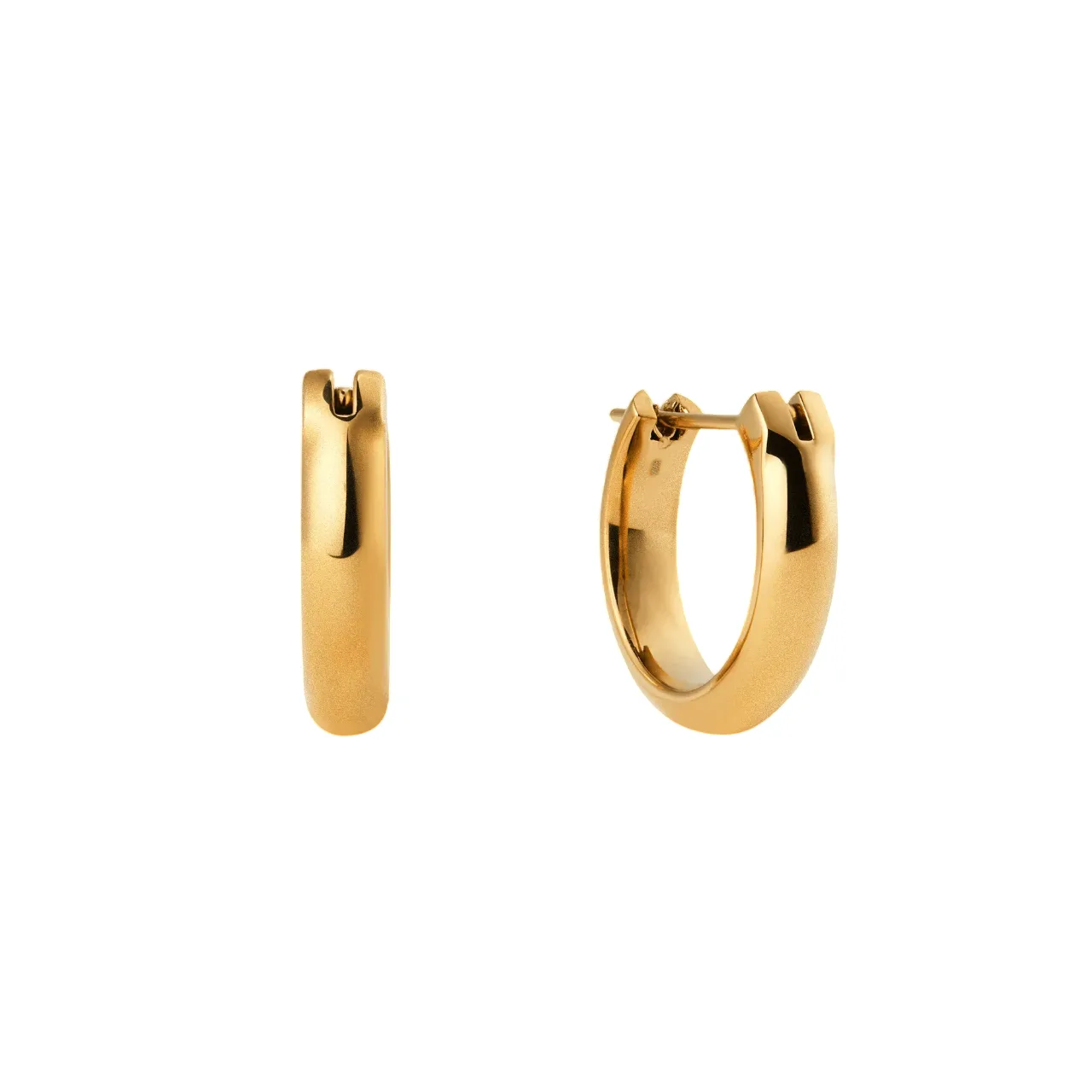 Daniel Wellington Earring/ DW00401949