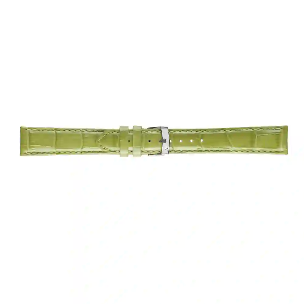 Watch strap/A01X2704656077CR20