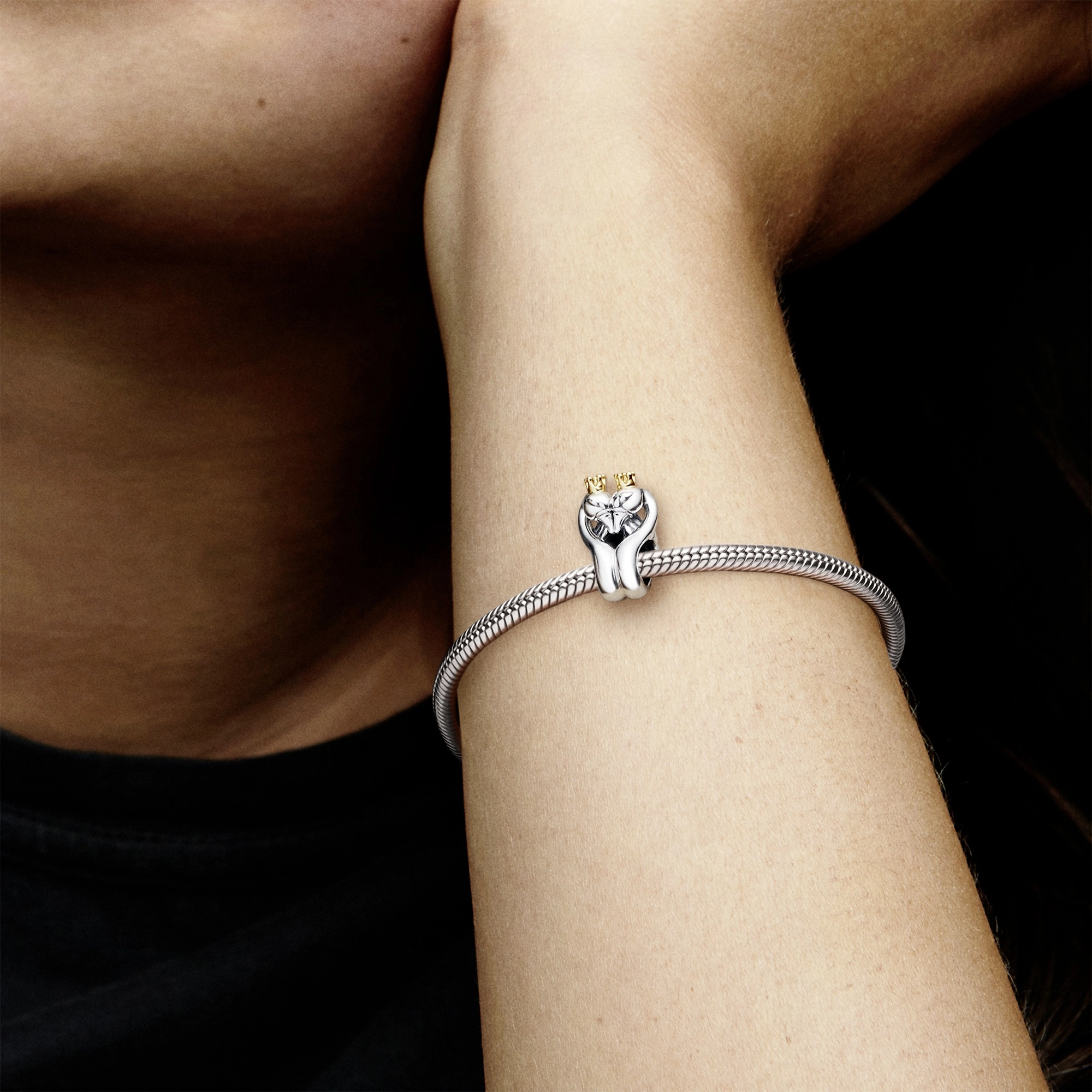 PANDORA Moments Արծաթյա Չարմ/ 799315C00