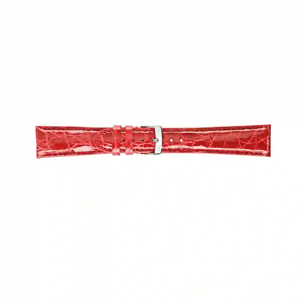 Watch strap/A01U0518052083CR20
