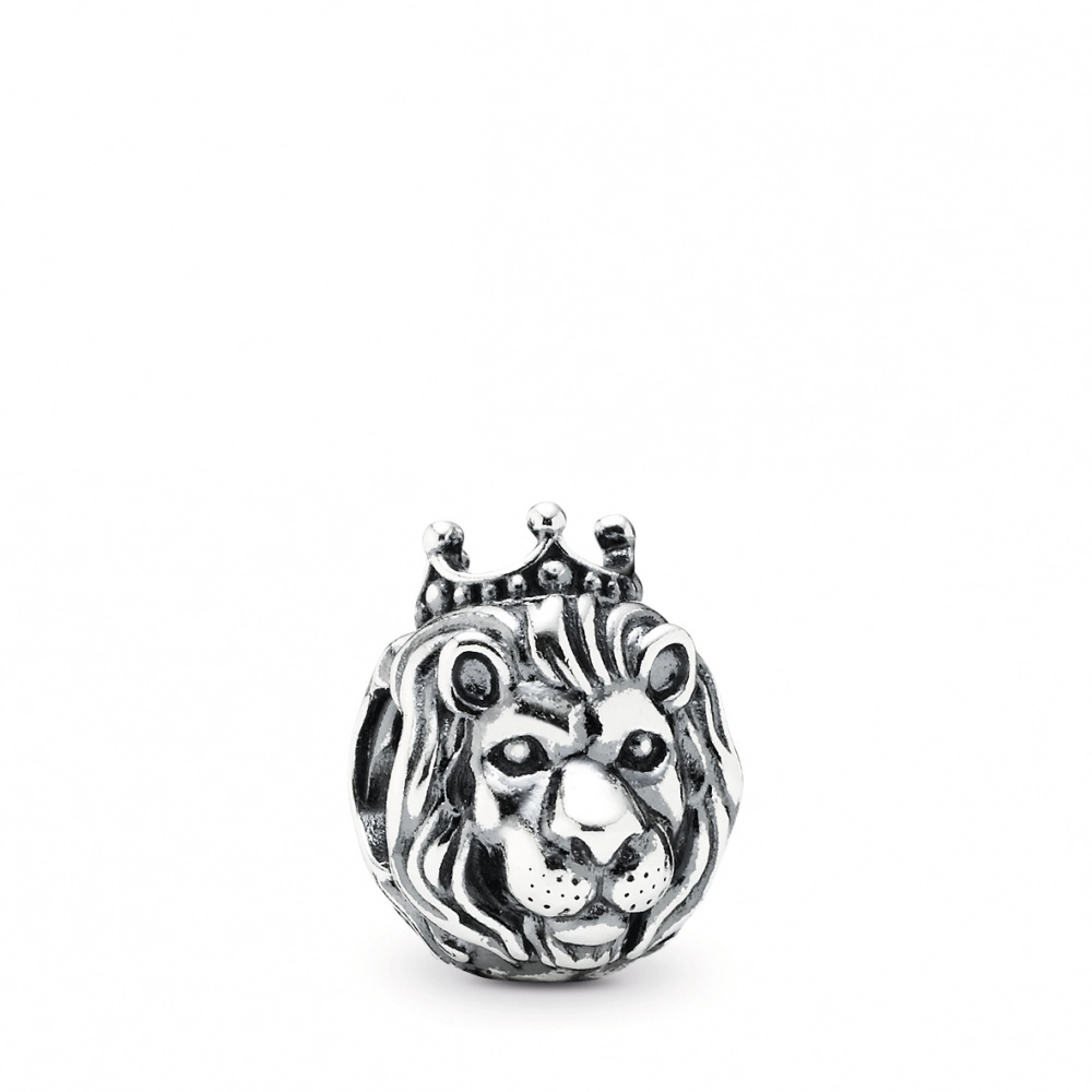 PANDORA Moments Silver Charm/ 791377