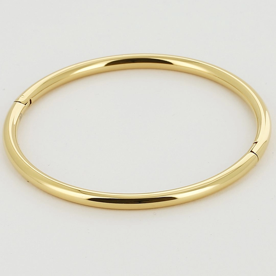 Zag Bijoux 24K Gold Plated Stainless Steel Surgical Bracelet/ SBJ13488-01UNI
