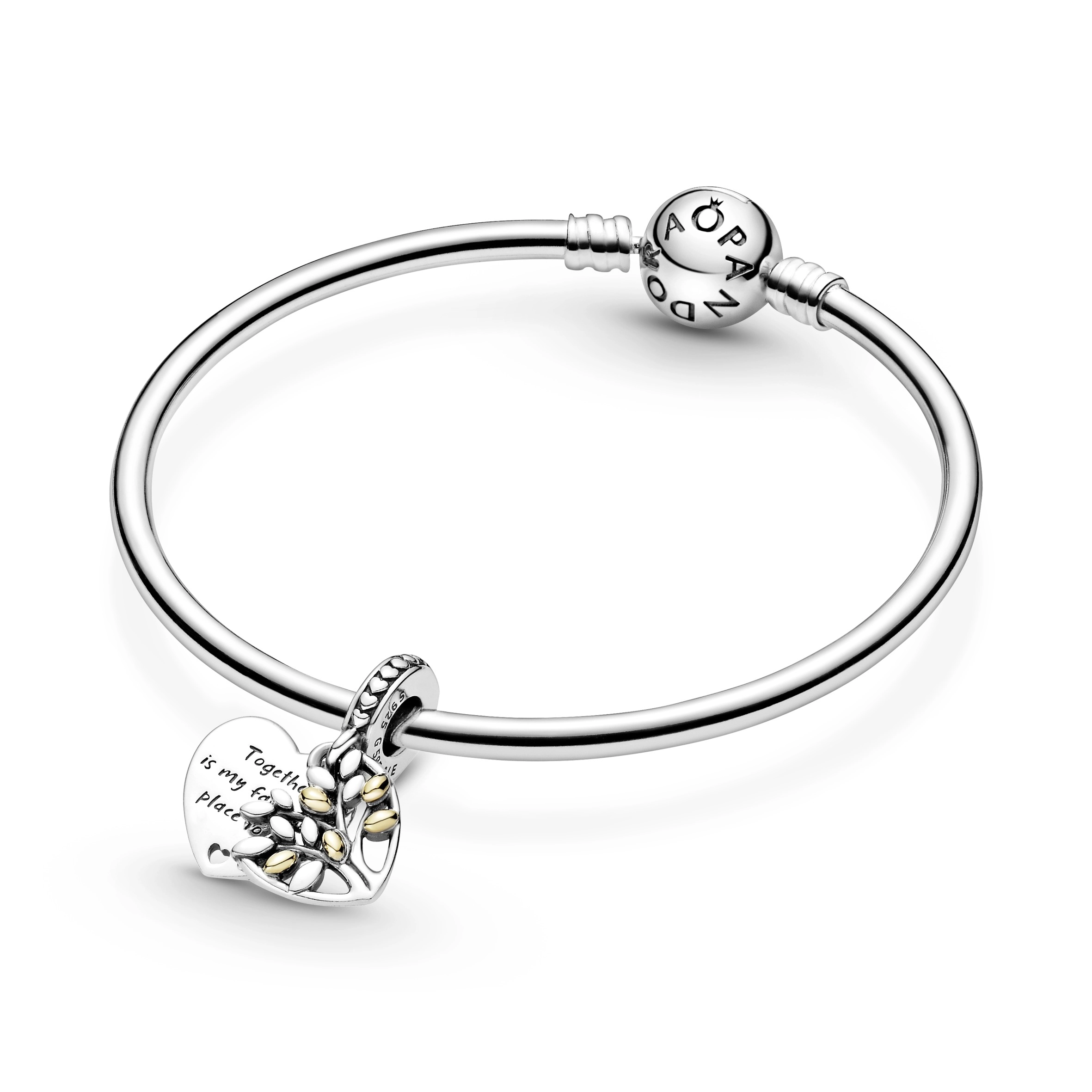 PANDORA Moments Արծաթյա Չարմ/ 799161C00