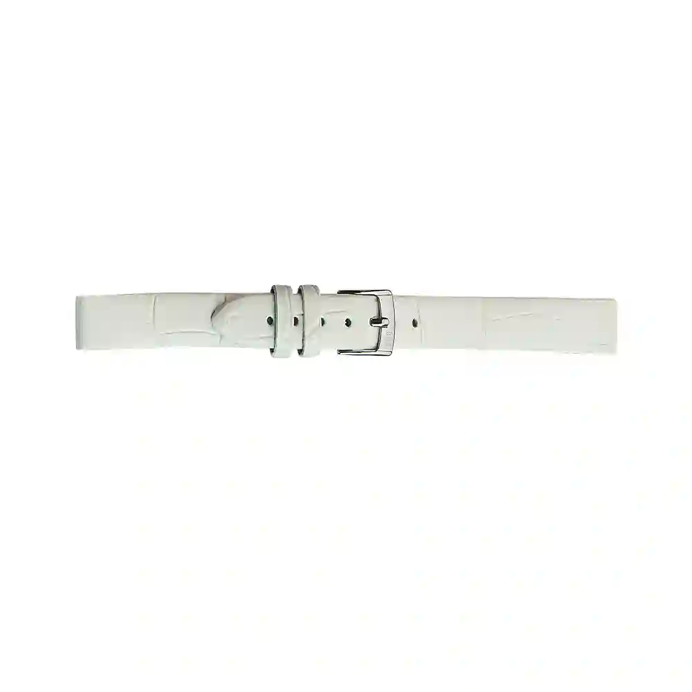 Watch strap/A01D2860656017CR06