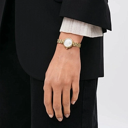 Daniel Wellington  Ladies  Wristwatch/ DW00100715