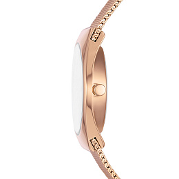 Skagen  Женские  Наручные часы/ SKW3078