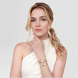 Daniel Wellington Թևնոց/ DW00401775