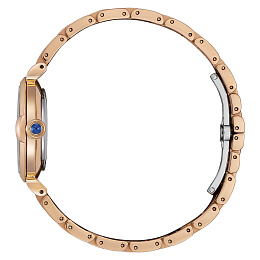 Citizen Wrist Watch EM1073-85Y