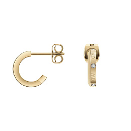 Daniel Wellington Ականջօղ/ DW00400351