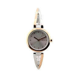 DKNY Կանացի Ժամացույց/ NY2791