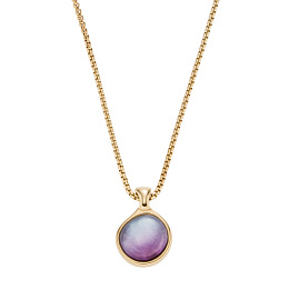 Skagen Necklace/ SKJ1689710