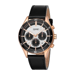 Esprit Мужские Наручные часы/ ES1G308L0035