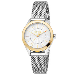 ESPRIT Women Watch, Two Tone Silver & Gold Color Case, Silver Dial, Silver Color Mesh Bracelet, 3 Ha