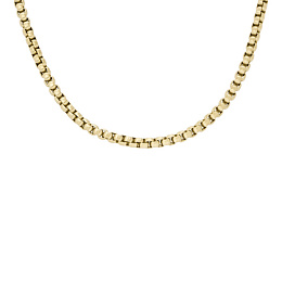 Fossil Necklace/JF04504710