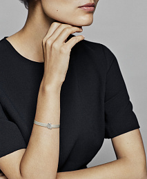 PANDORA Reflexions Արծաթյա Չարմ/ 798213