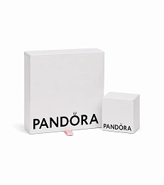 PANDORA Moments Կաշվե Արծաթյա Բրելոկ-կրիչ/ 392260C01