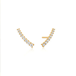 Ania Haie 14K Ոսկեպատ Արծաթյա Ականջօղ/ E037-03G