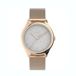 Rose Gold-tone Case with Silver Glitter Dial /TW2V01400