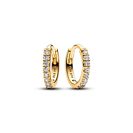 Earring/263015C01