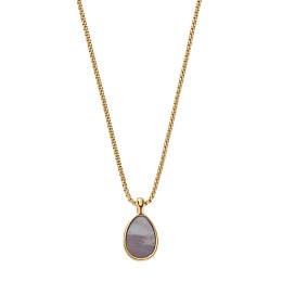 Skagen Necklace/ SKJ1557710