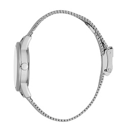 ESPRIT Women Watch, Silver Color Case, Silver Dial, Stainless Steel Mesh Bracelet, 3 Hands, 3 ATM
