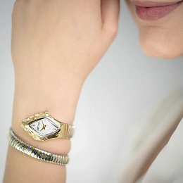 Just Cavalli Ladies Quartz Wristwatch/ JC1L306M0065