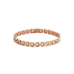 Daniel Wellington Bracelet/ DW00400956