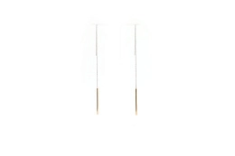 Skagen Earring/ SKJ1079998