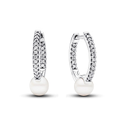 PANDORA Timeless Արծաթյա Ականջօղ/ 293171C01
