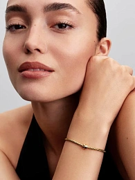 Pandora Moments 14K Ոսկեպատ Արծաթյա Չարմ/ 764514C00