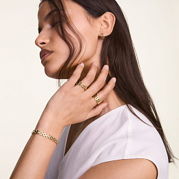 Daniel Wellington Մատանի/ DW00400993