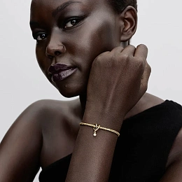 Pandora Timeless 14K Позолоченный Шарм/764138C01