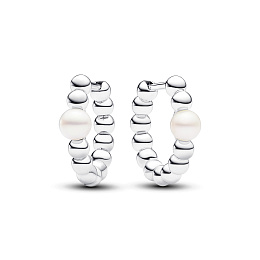 Earring/293178C01